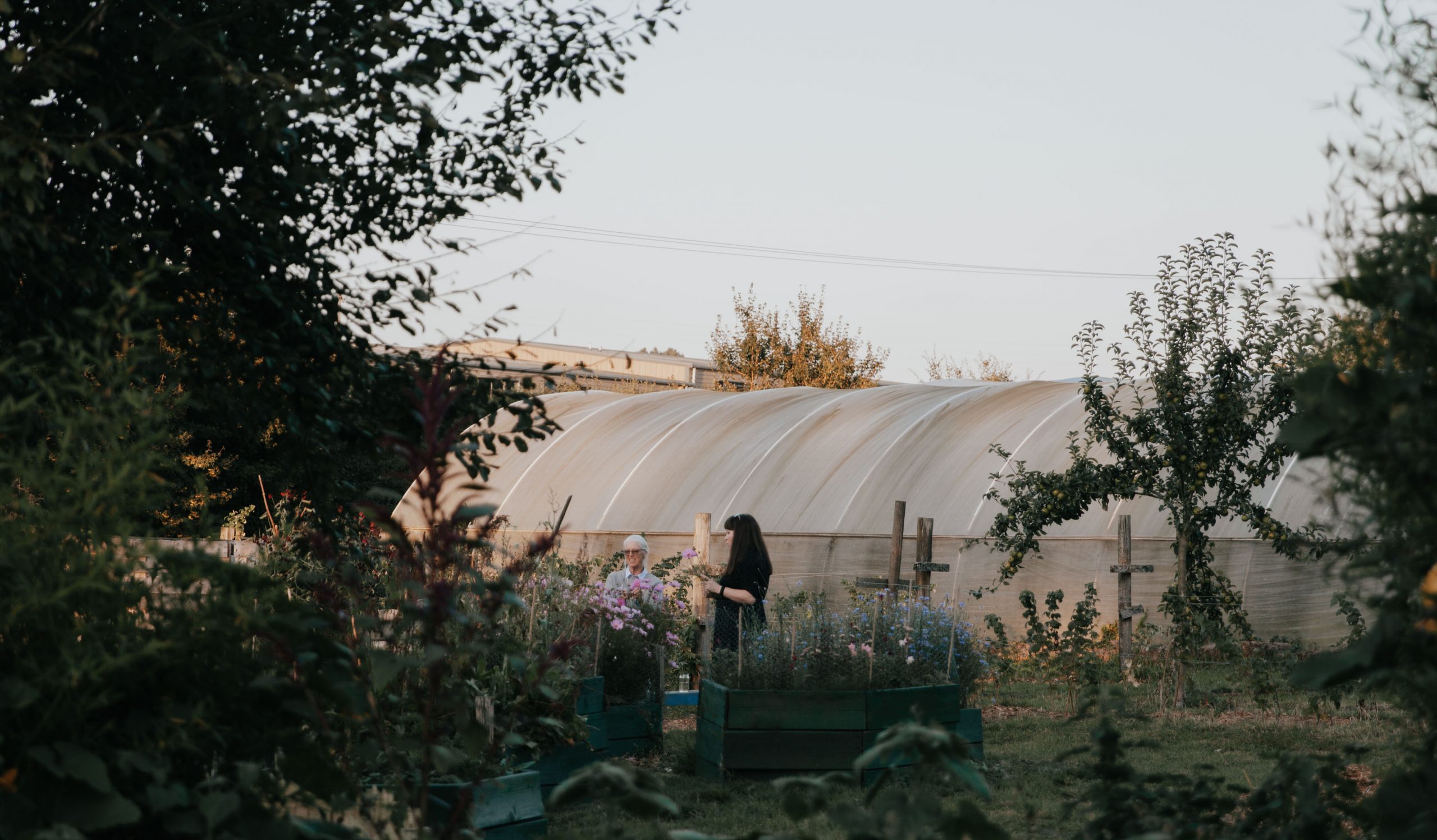view of people and polytunnel