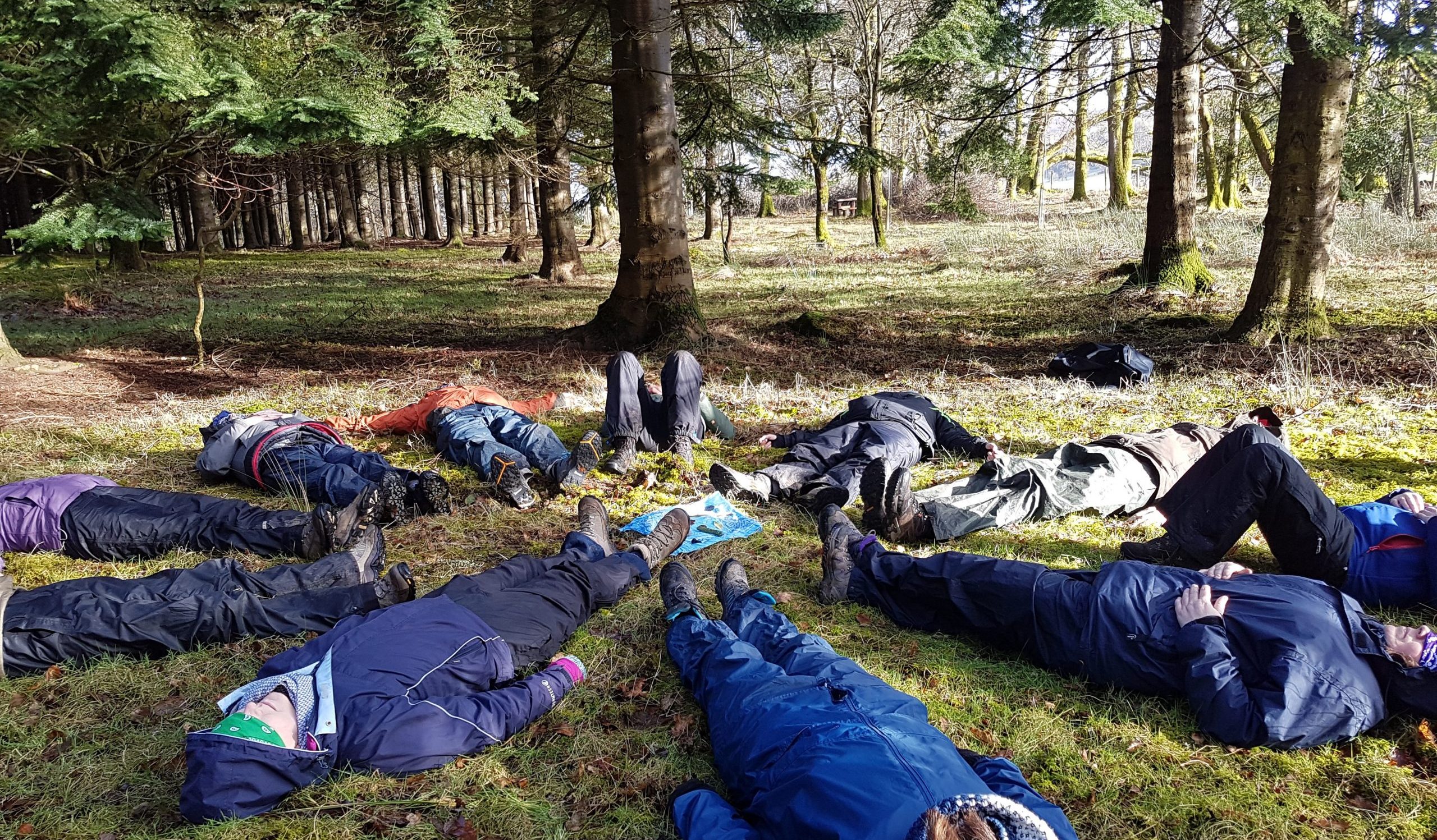 people lying down in the forest
