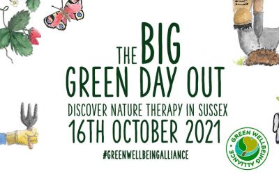 The Big Green Day Out