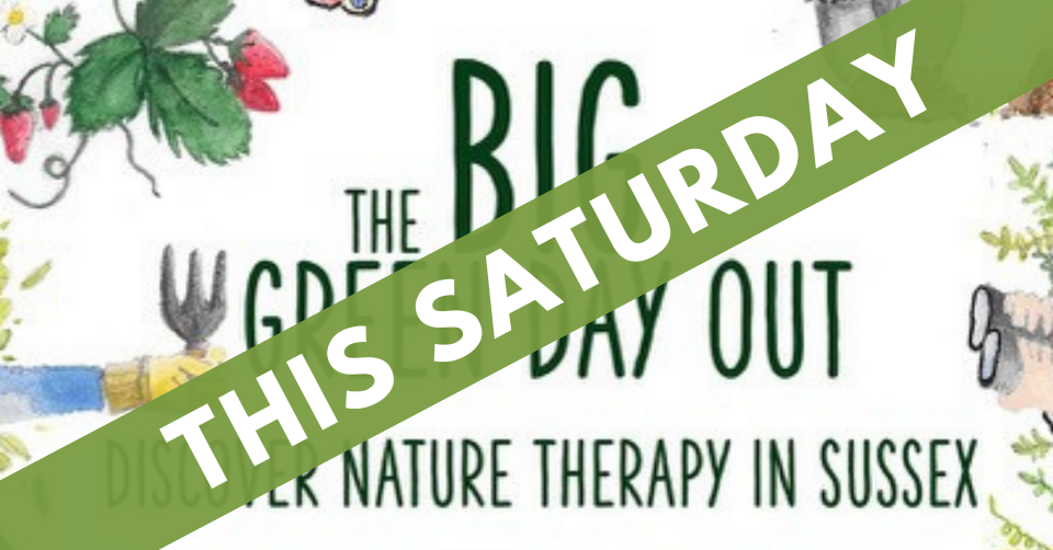 The Big Green Day Out – Saturday 11th June 2022